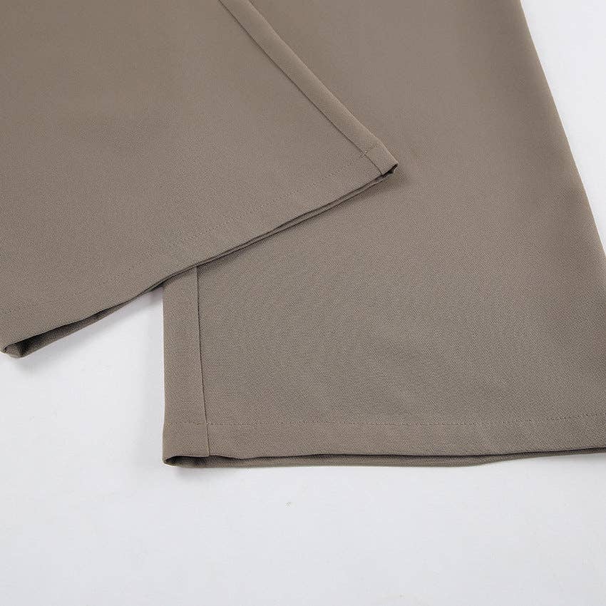 Straight Leg Pleated Loose Pants In Taupe
