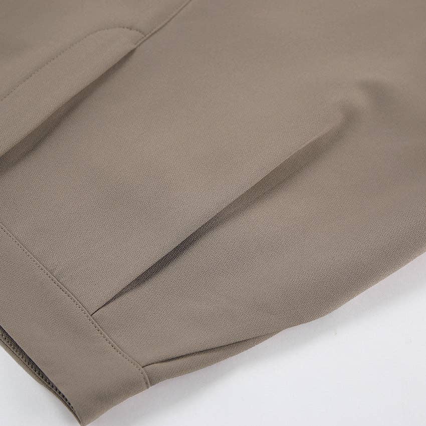 Straight Leg Pleated Loose Pants In Taupe