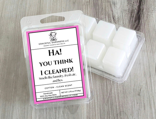 You think I cleaned,  Wax Melts